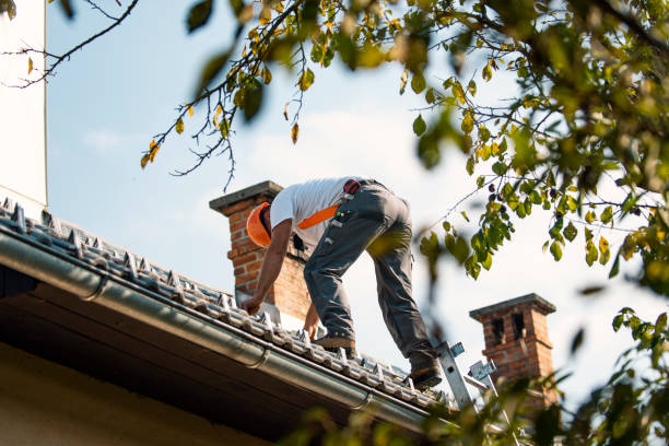 Best Storm Damage Roof Repair  in Shelbyville, KY