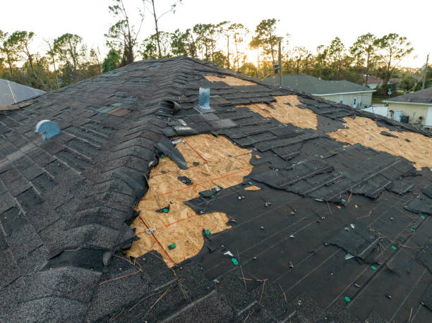 Best Asphalt Shingle Roofing  in Shelbyville, KY